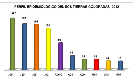 Tabla 13. Perfil  