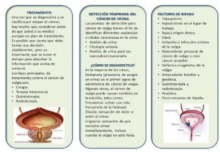 Figura Nº 11. Material didáctico distribuido a los clientes del Área de Urología Hospital de SOLCA del Portoviejo 