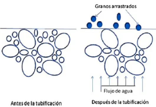 Figura 1. Proceso de floculación.  