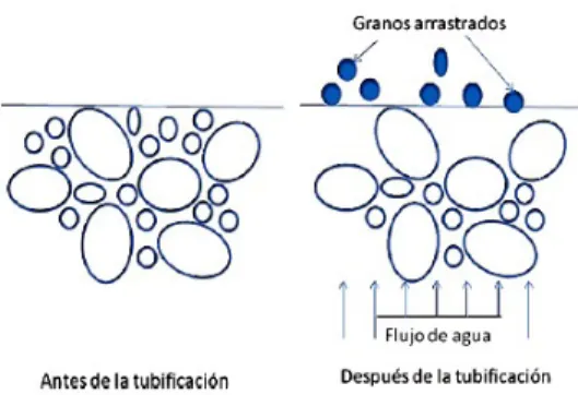 Figura 1. Proceso de floculación.  