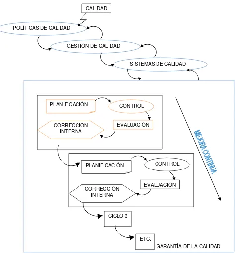 Figura 3: Concepto genérico de calidad 