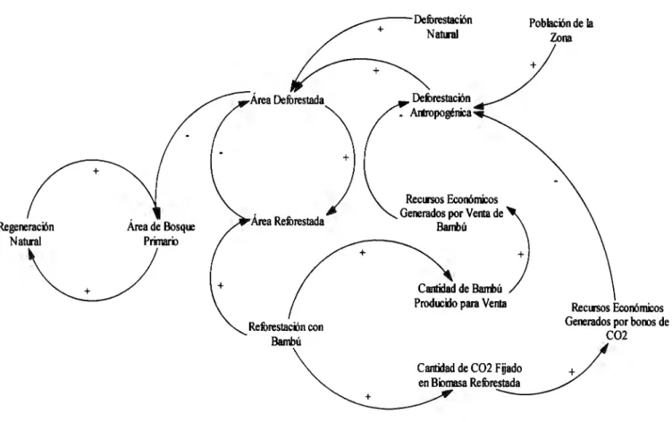 Fig.  12 Diagrama Causal del modelo. 