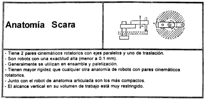 Tabla 2.6  Características generales  de  la anatomía Scara 
