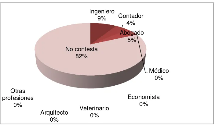 Tabla  13. Su titulación tiene relación con, otras profesiones  Opción 