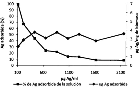 Figura 9. Efecto de la concentración de Ag en la adsorción por biomasa de Penicillium spp