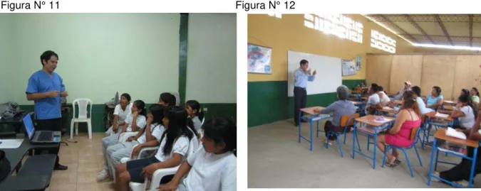 Figura N° 11                                                           Figura N° 12              
