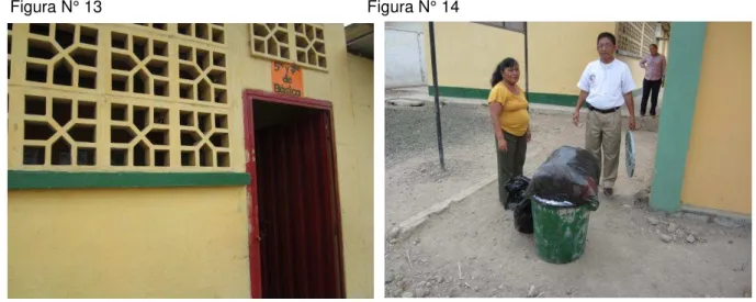 Figura N° 13                                                          Figura N° 14