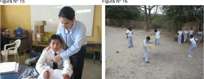 Figura N° 15                                                              Figura N° 16
