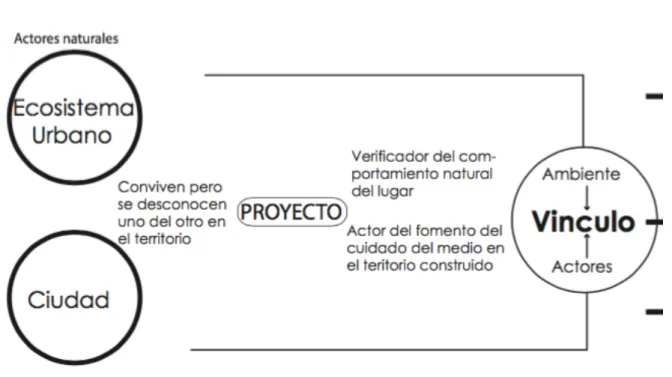 Figura 11. Desarrollo de la idea. 