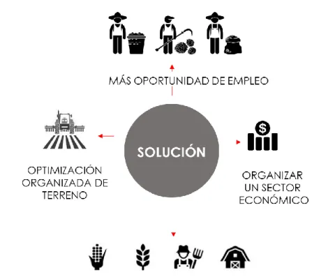 Figura 7. Esquema de alternativas 