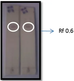 Figura 17. TLC de la fracción 38-39 luego de ser revelada con ácido sulfúrico y vainillina 