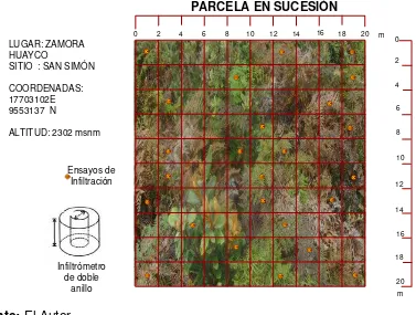 Figura 8: Parcela en sucesión sitio San Simón (Subcuenca Zamora Huayco) 