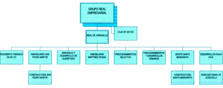 FIGURA 4.  Organigrama de  las principales empresas del  grupo real  empresarial  (adaptado  de  diario de Querétaro y grupo  real  empresarial)