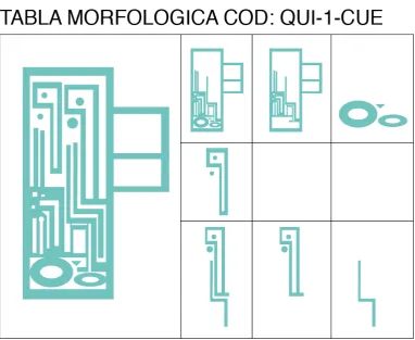 Tabla 7. Tabla morfológica Quillusara cabeza  