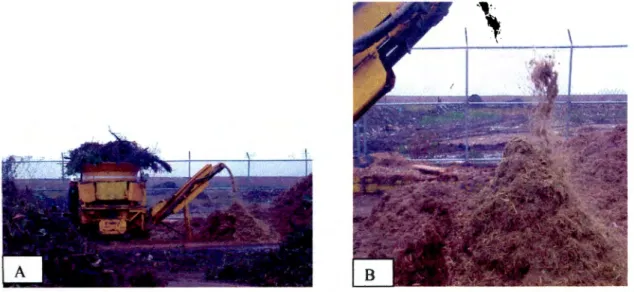 Figura 3.9 En "A" se observa el  molino de martillo para reducir el material proveniente de podas (ramas),  en 