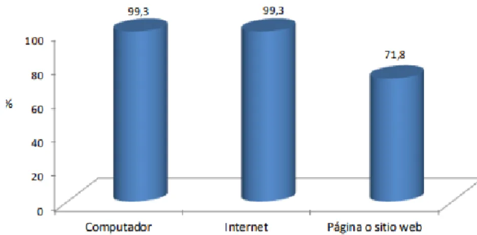 Ilustración 19: Porcentaje de empresas que usan computador, internet y pagina web 