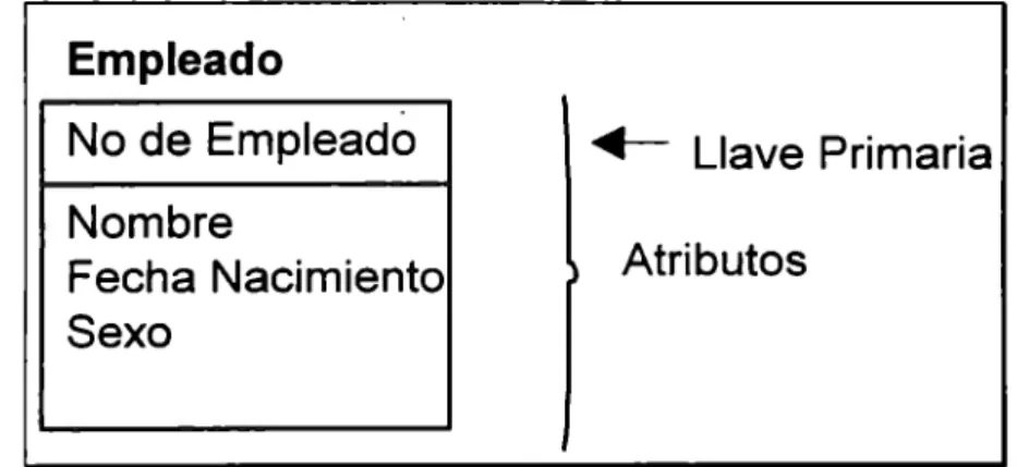 Fig. 3.6. Sintaxis de Atributos  y  Llave Primaria. 