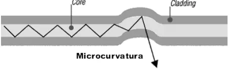 Figura 1. 5. Macrocurvatura 