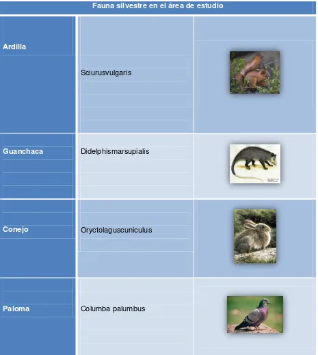 Tabla 8: Fauna presente en la parroquia Tacamoros. 