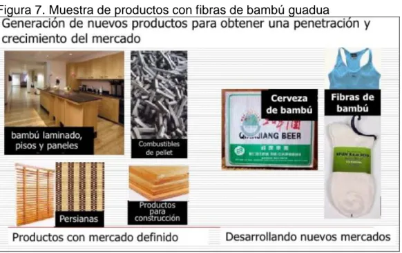 Figura 7. Muestra de productos con fibras de bambú guadua 