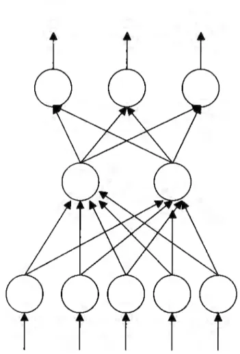 Fig.  3.13.  Representación de la  red neuronal de la  presa 