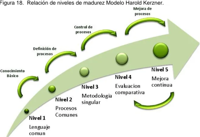 Figura 18.  Relación de niveles de madurez Modelo Harold Kerzner. 