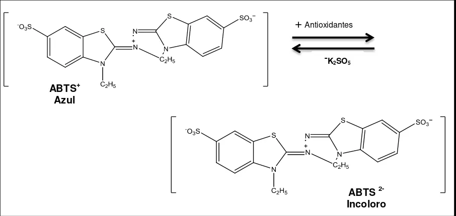Figura 4. Ensayo Método ABTS  