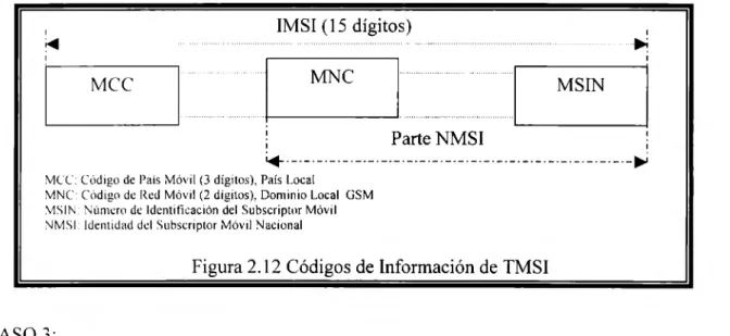 Figura 2.12 Códigos de Información de TMSI 