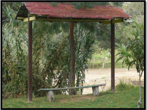 Figura N°14. Bancas del sendero.