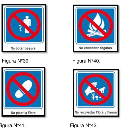 Figura N°45.                                    Figura N°46. 