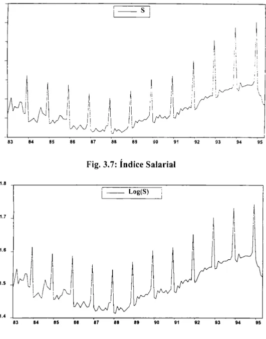 Fig. 3.7:  Índice Salarial 