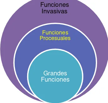 Figura 1. Funciones de la orientación 