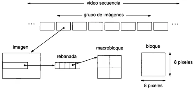 Figura 8.  Estructura en capas 