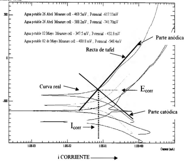 Fig.  5.2  Gráfica característica para acero  al carbón, generada por un potenciostato