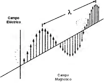 Figura 1.3 Representación gráfica de los campos eléctrico  y  magnético de  una onda. 