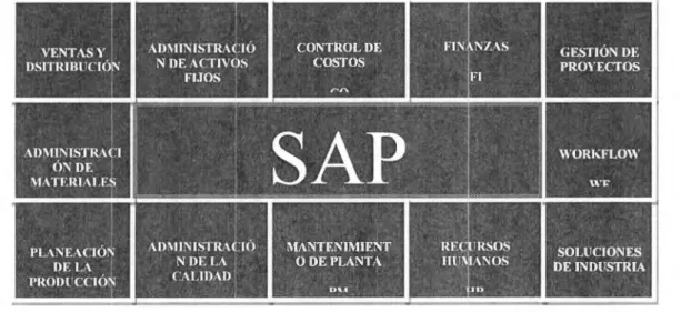 Figura 4.3  Módulos del  Sistema SAP 