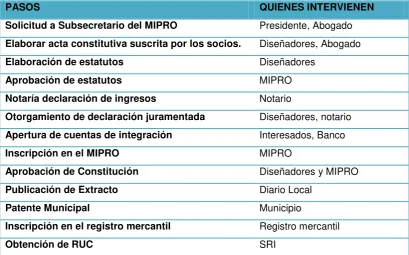 Cuadro N° 6: Proceso de Constitución. 