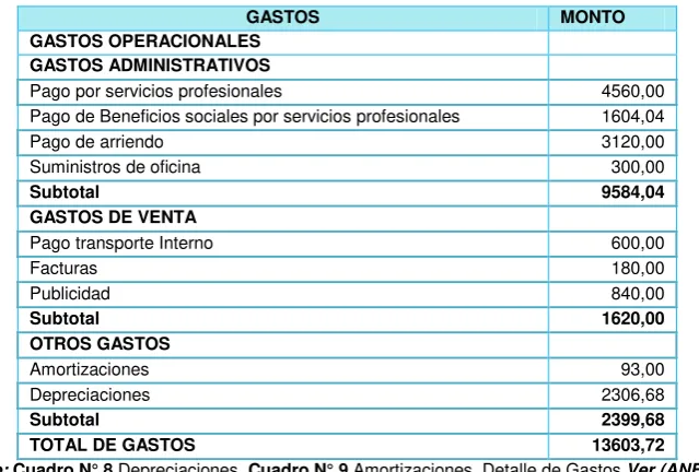 Cuadro N° 13: Gastos Anuales. 