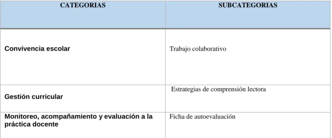Cuadro de categorización 