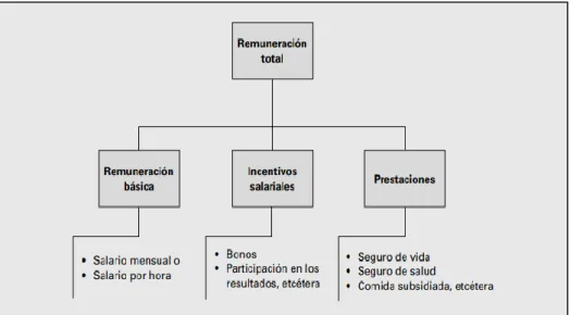 Figura 6 Los tres componentes de la remuneración total 