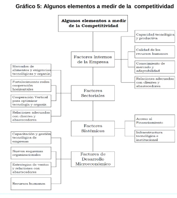 Gráfico 5: Algunos elementos a medir de la  competitividad 