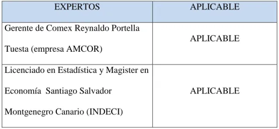 Tabla N°3: Relación de expertos 