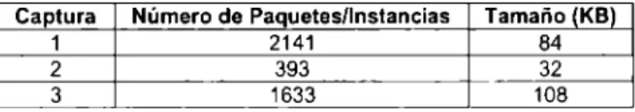 Tabla 8.  Instancias  y  tamaño por captura. 
