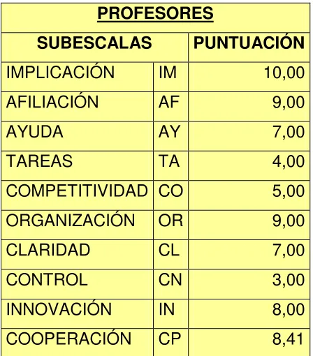TABLA 15.  CES  PROFESORES 