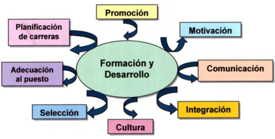 Figura 3.  Plan de Formación  y  Desarrollo. 