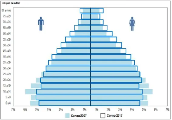 Figura 6. Perú: Pirámide de población 2007 – 2017 