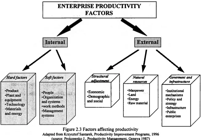 Figure 2.3  Factors affecting productivity 