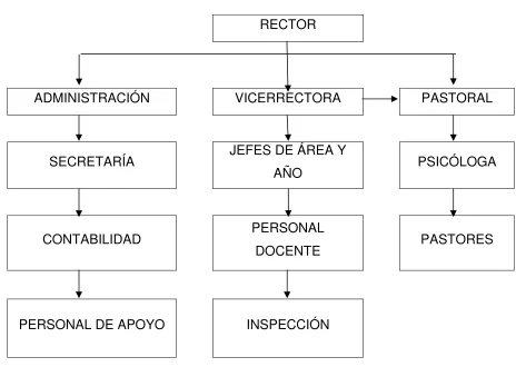Figura 1 