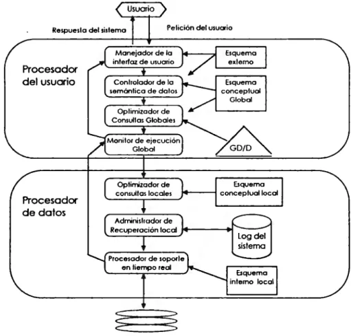 Fig. 4.6 Componentes de un Sistema Manejador de Bases de Datos Distribuido. 