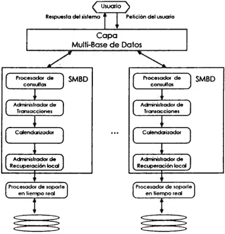 Fig.  4.9 Componentes de un Sistema Multi Base de Datos 